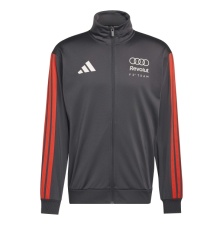 AUDI F1 FAN MEESTE DRESSIPLUUS