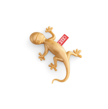 LÕHNAGECKO, AROMAATNE-KANEEL, KULDNE