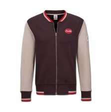 AUDI HERITAGE MEESTE DRESSIPLUUS, PRUUN